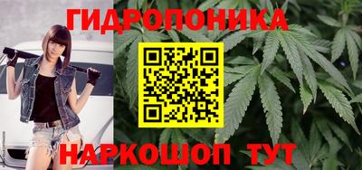 трава Шахты